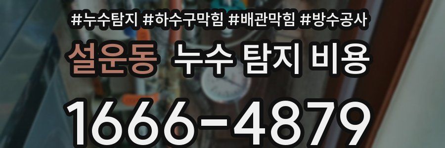 설운동 누수 탐지 비용