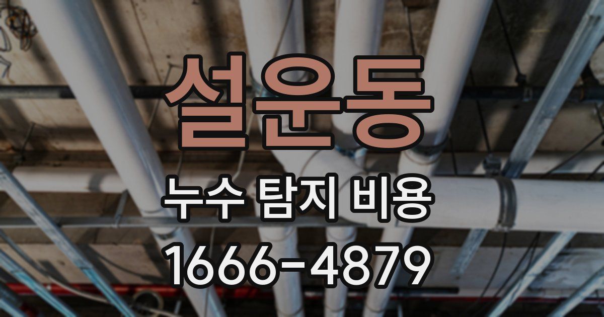 설운동 누수 탐지 비용
