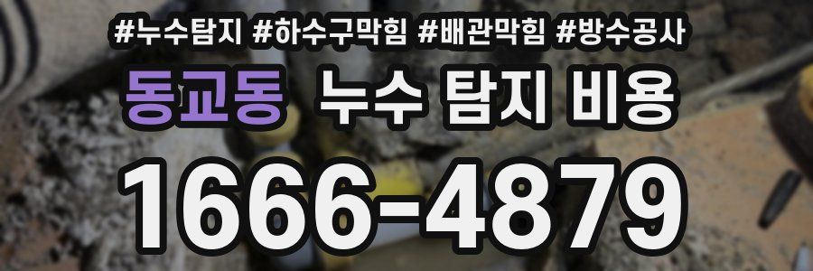 동교동 누수 탐지 비용