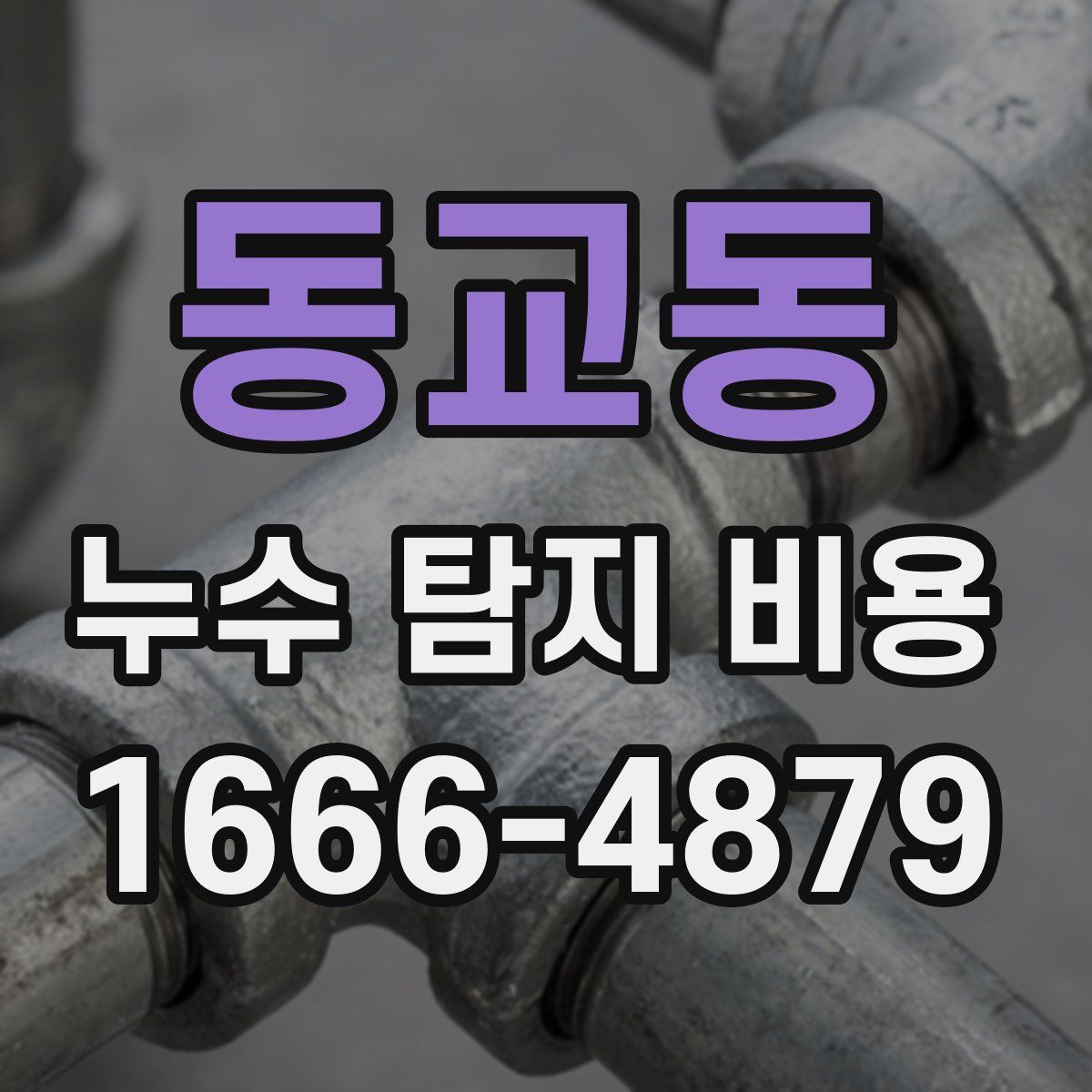 동교동 누수 탐지 비용