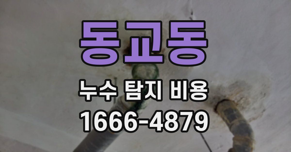 동교동 누수 탐지 비용