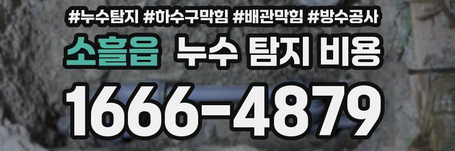 소흘읍 누수 탐지 비용
