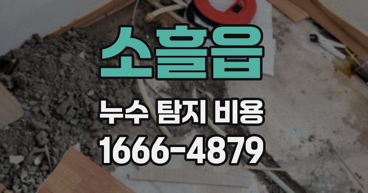 소흘읍 누수 탐지 비용