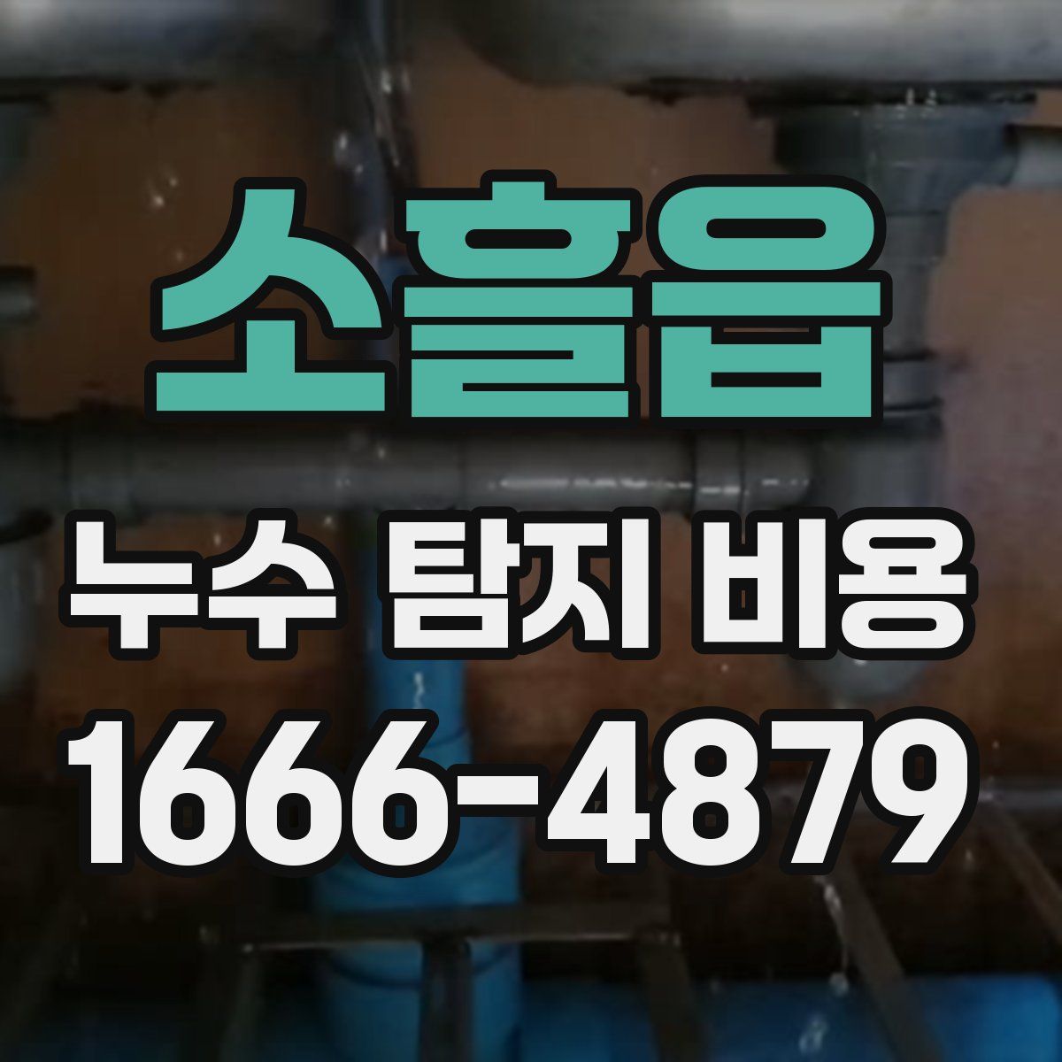 소흘읍 누수 탐지 비용