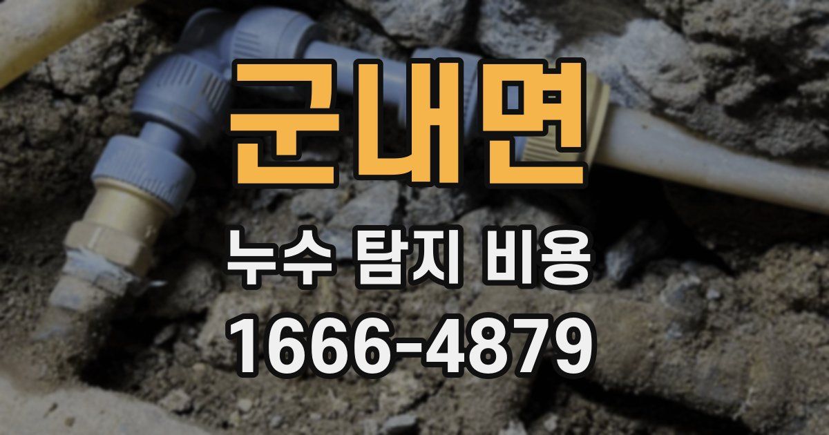군내면 누수 탐지 비용