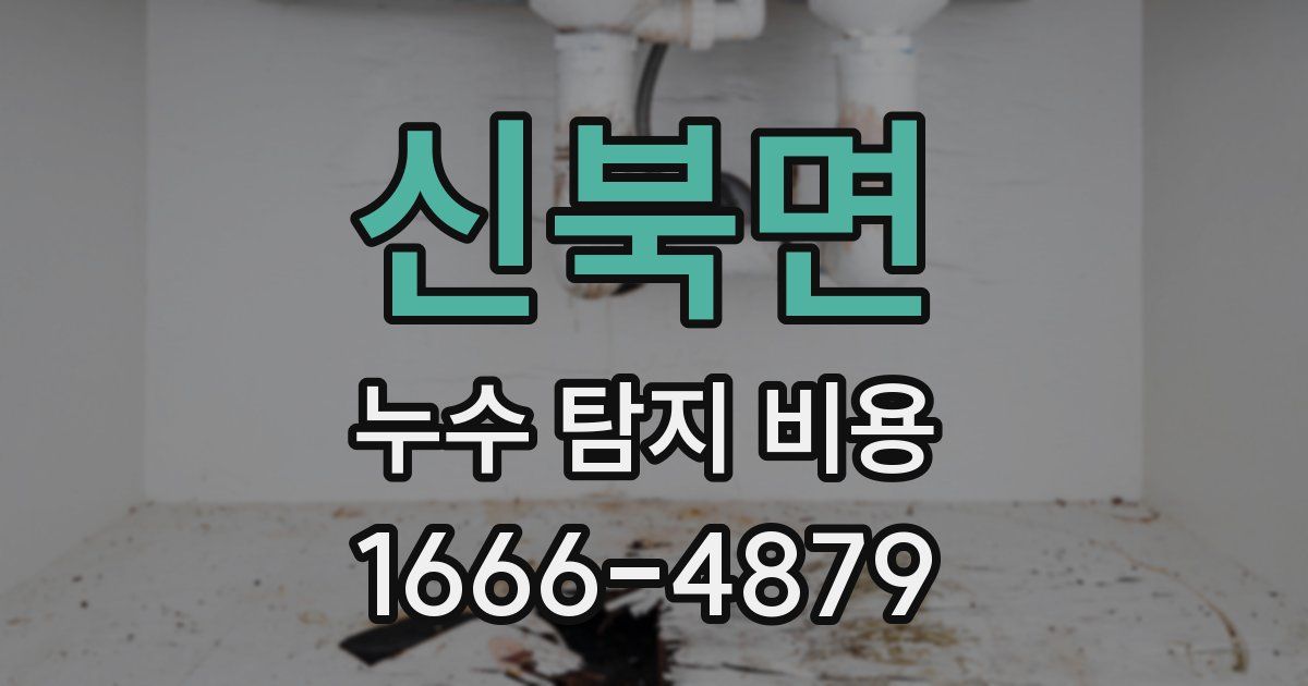 신북면 누수 탐지 비용