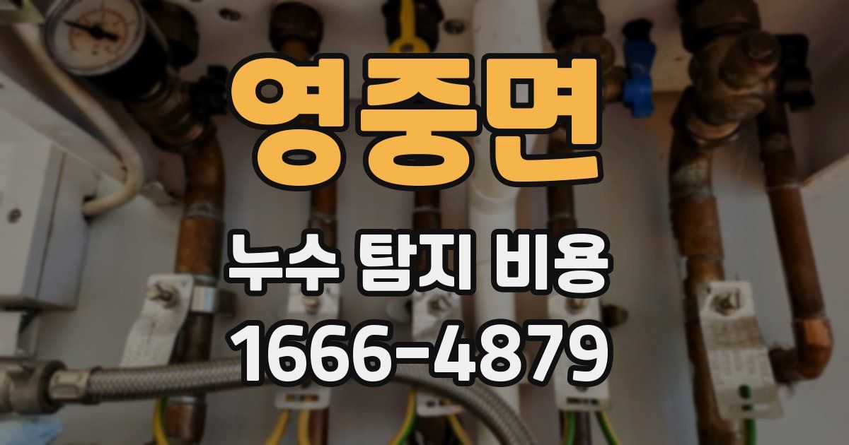영중면 누수 탐지 비용