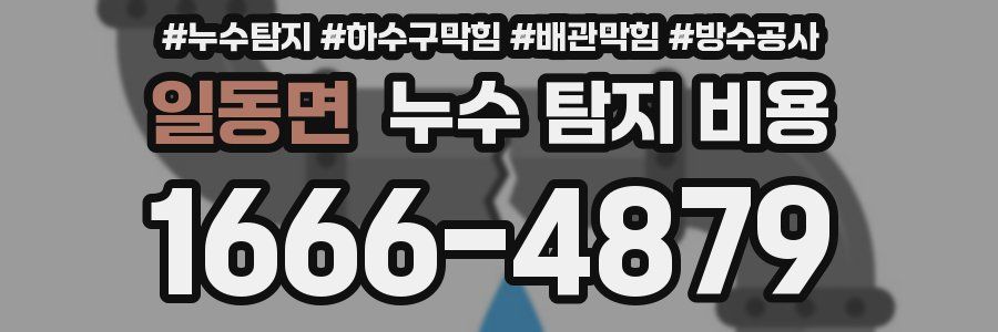 일동면 누수 탐지 비용