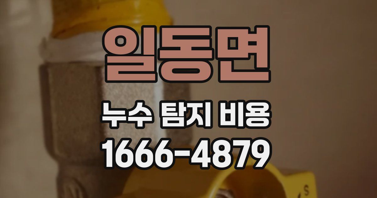 일동면 누수 탐지 비용
