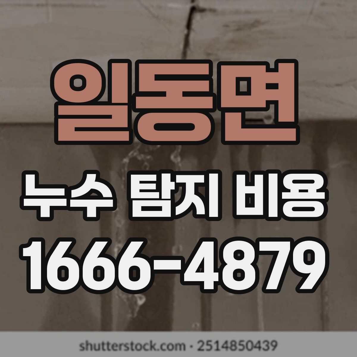 일동면 누수 탐지 비용