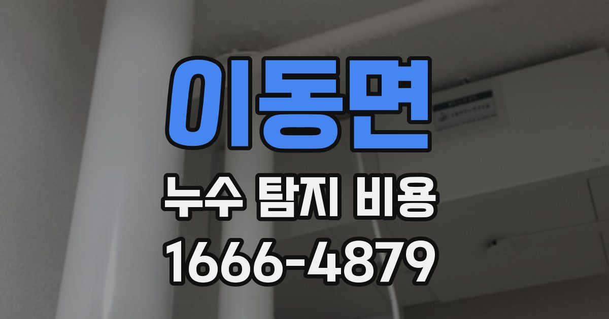 이동면 누수 탐지 비용