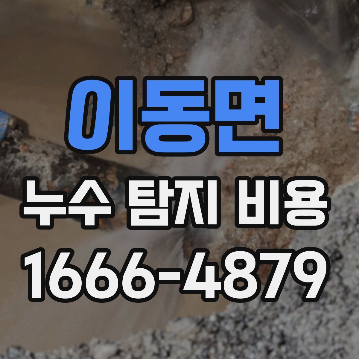 이동면 누수 탐지 비용