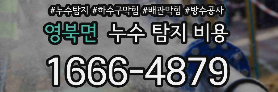 영북면 누수 탐지 비용