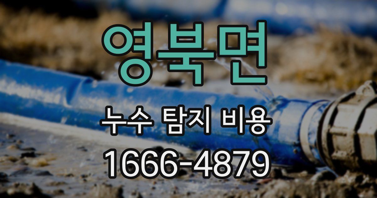 영북면 누수 탐지 비용