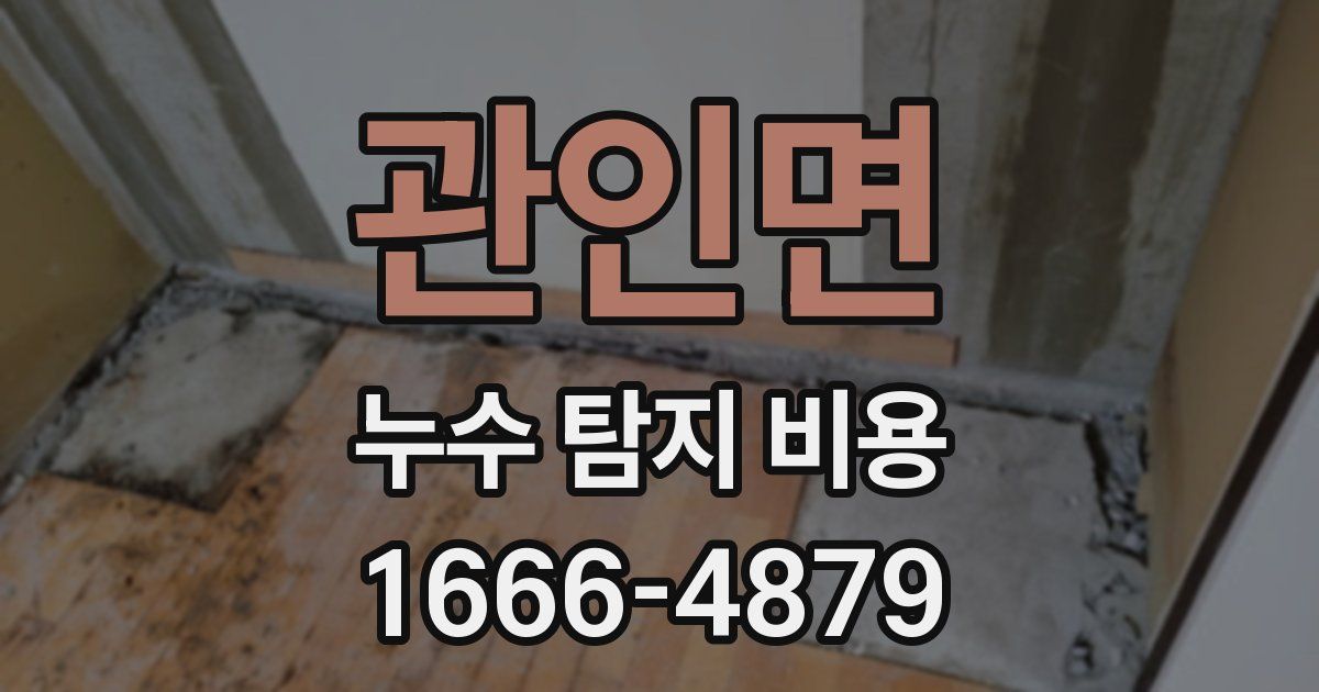 관인면 누수 탐지 비용