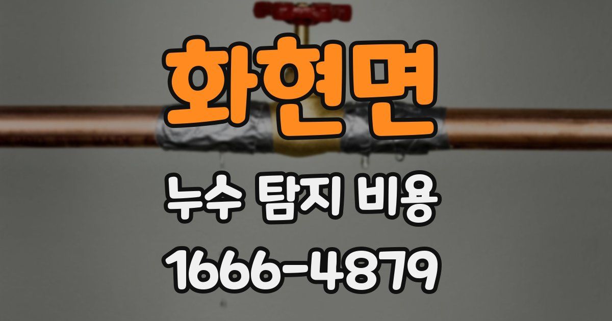 화현면 누수 탐지 비용