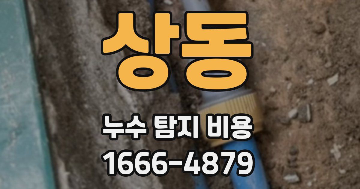 상동 누수 탐지 비용