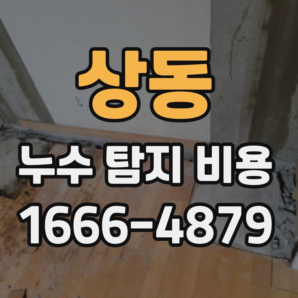 상동 누수 탐지 비용