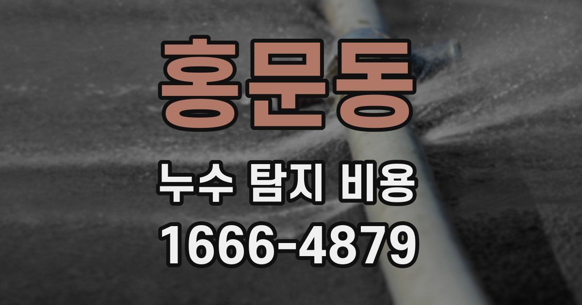 홍문동 누수 탐지 비용