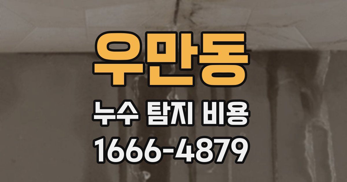 우만동 누수 탐지 비용