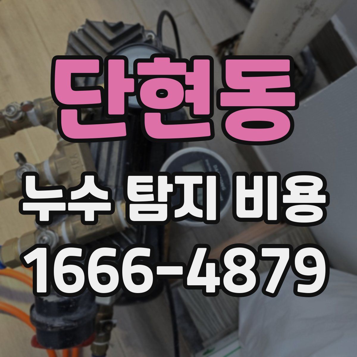 단현동 누수 탐지 비용