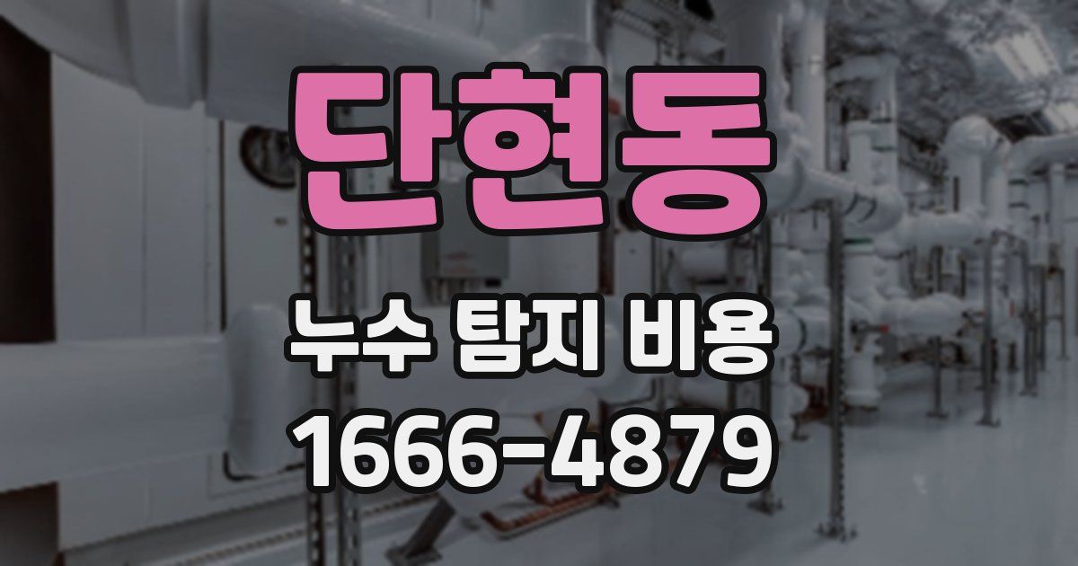 단현동 누수 탐지 비용