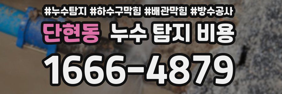 단현동 누수 탐지 비용