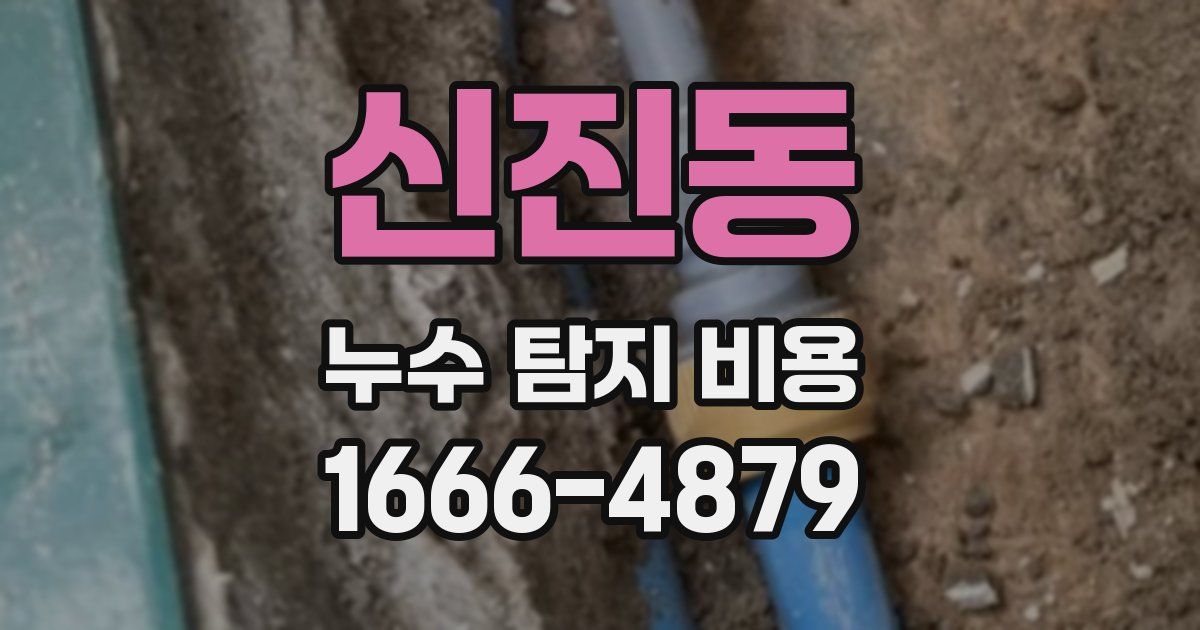 신진동 누수 탐지 비용
