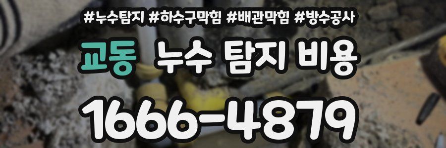 교동 누수 탐지 비용