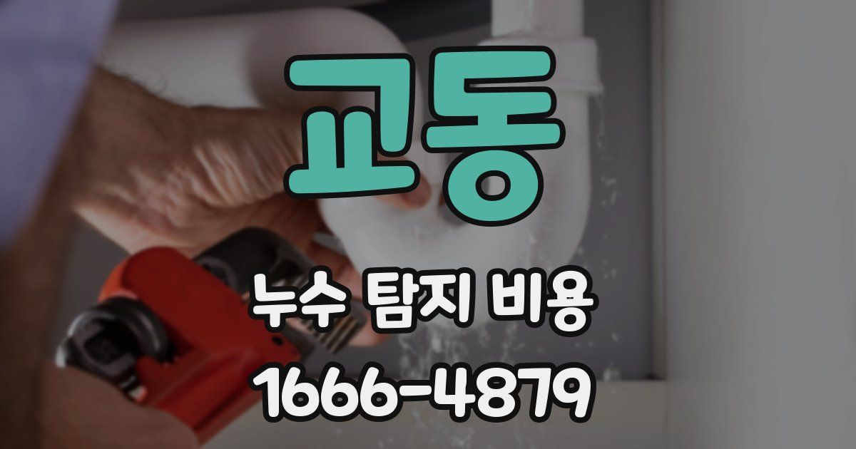 교동 누수 탐지 비용