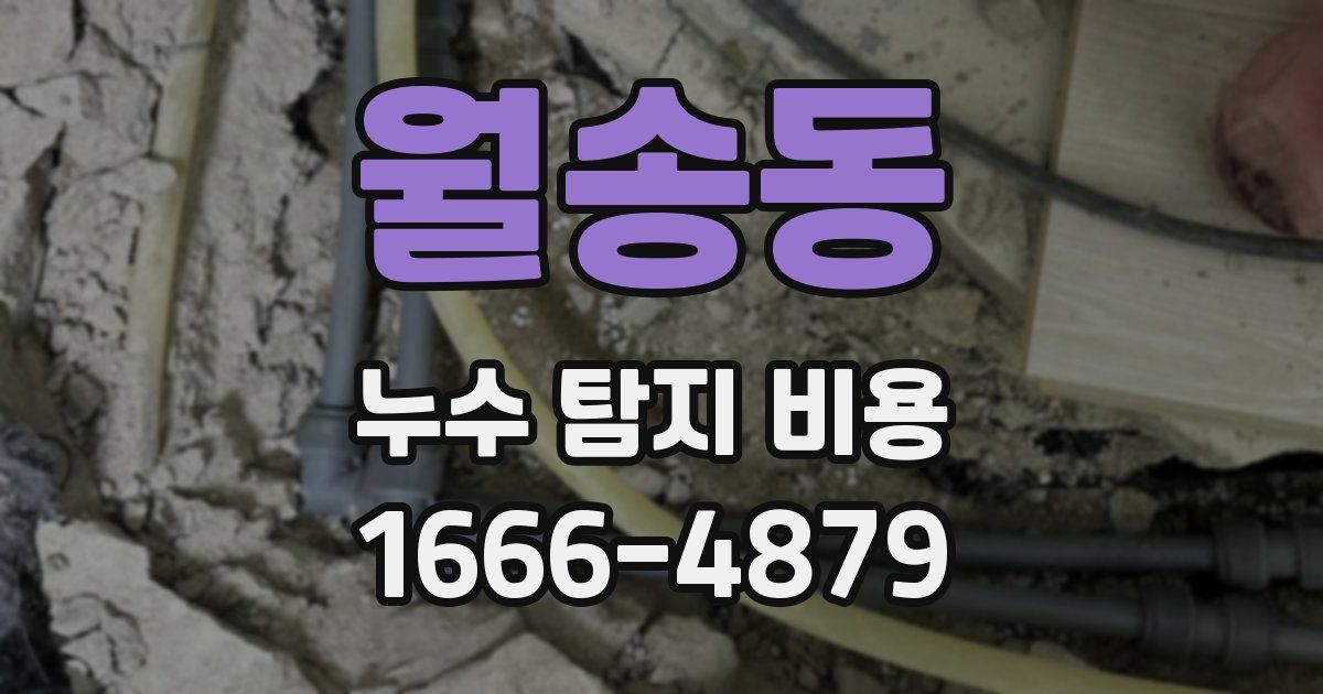 월송동 누수 탐지 비용