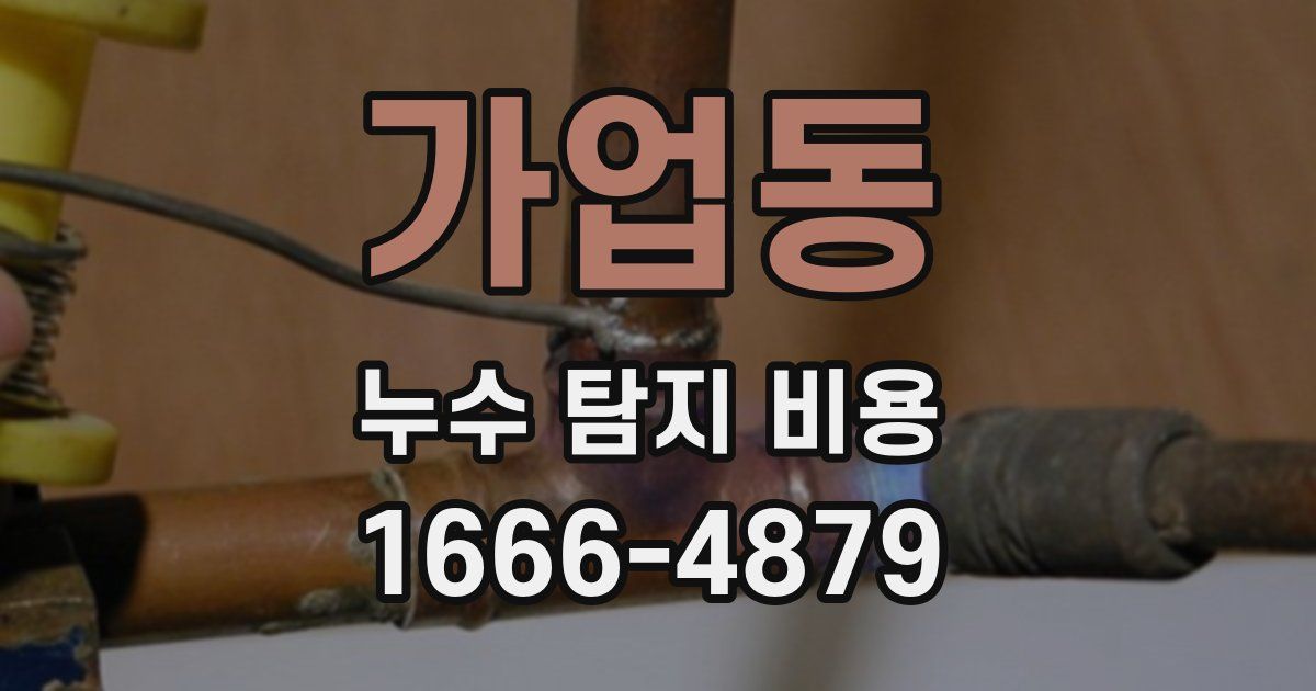 가업동 누수 탐지 비용