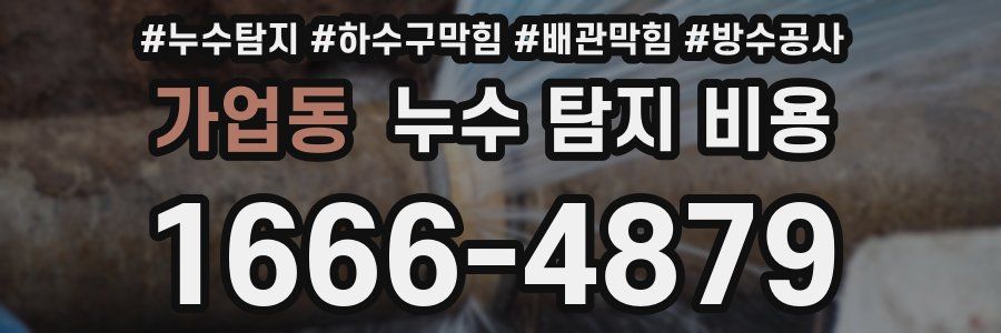 가업동 누수 탐지 비용