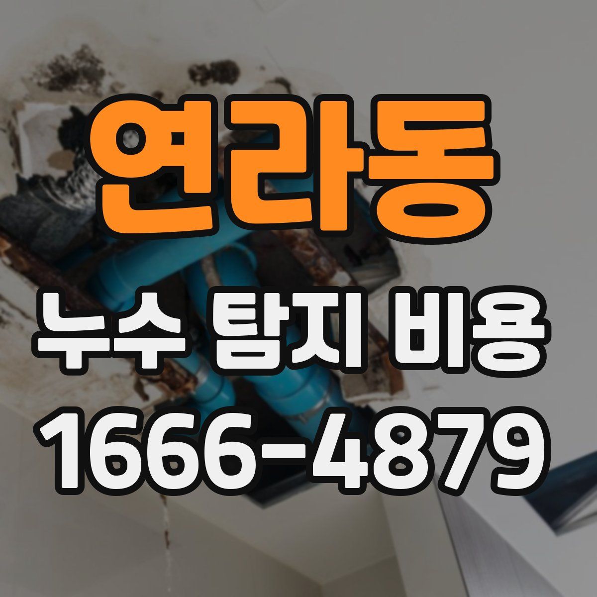 연라동 누수 탐지 비용
