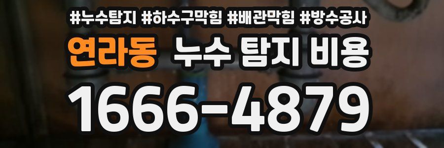 연라동 누수 탐지 비용