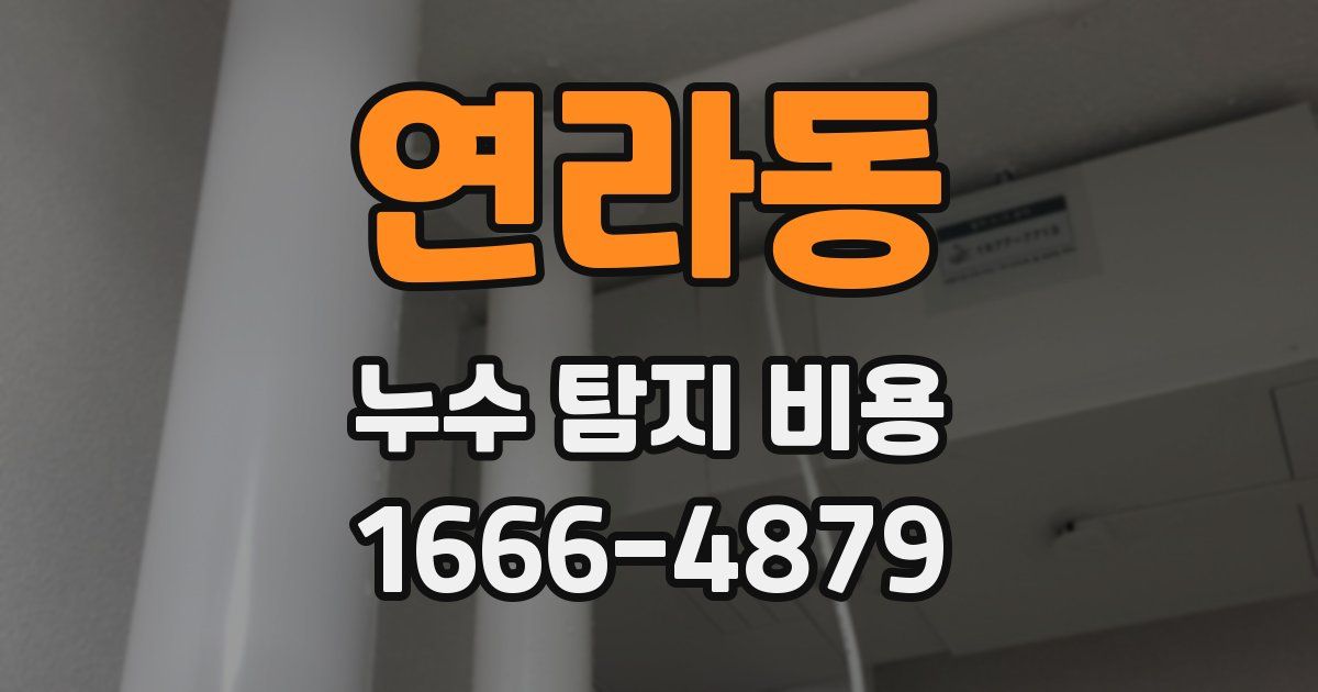 연라동 누수 탐지 비용
