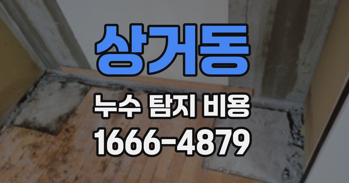 상거동 누수 탐지 비용