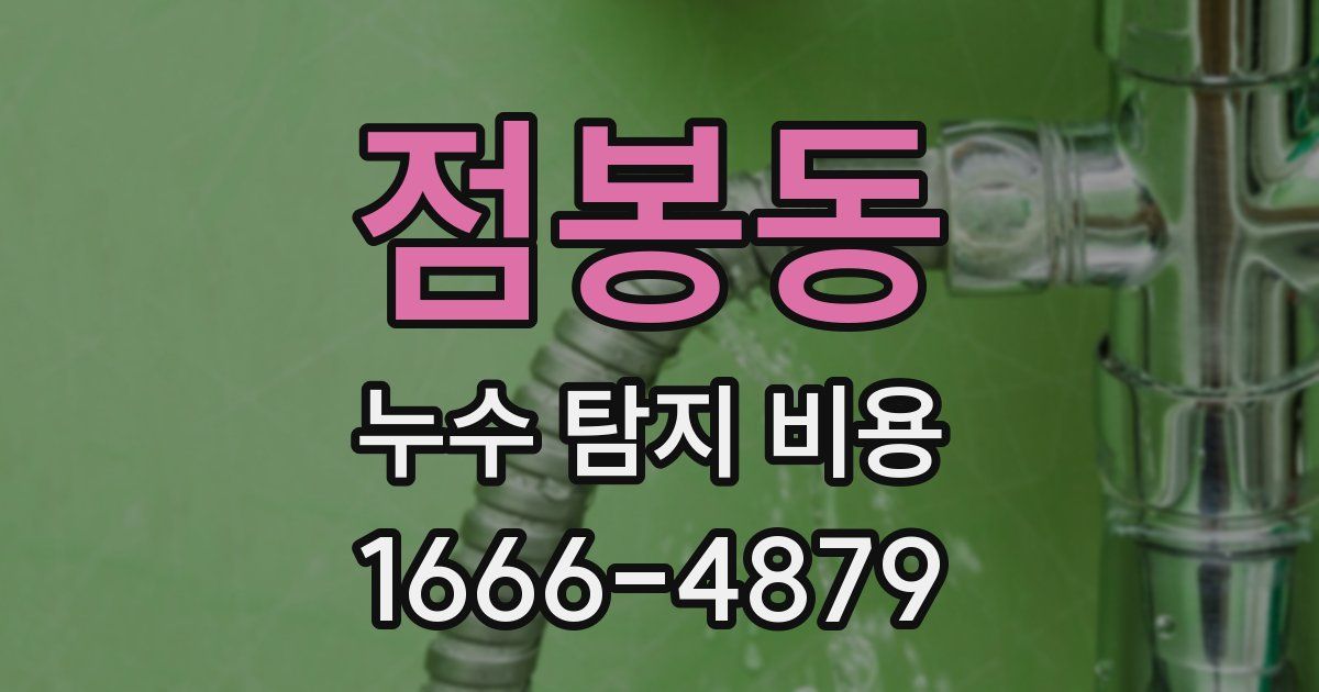 점봉동 누수 탐지 비용