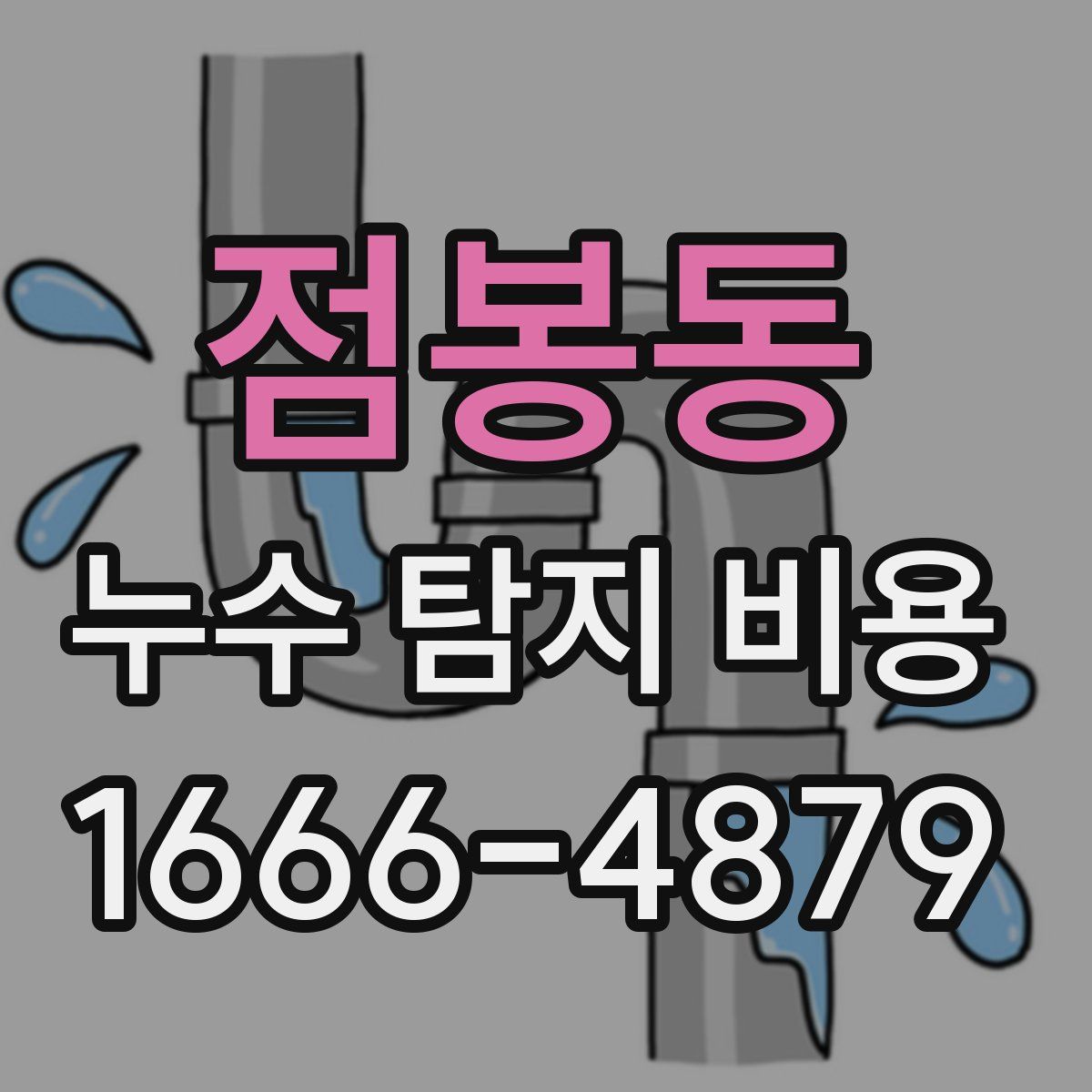 점봉동 누수 탐지 비용
