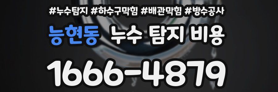 능현동 누수 탐지 비용