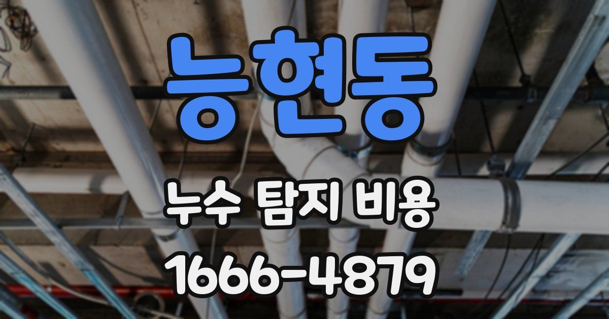능현동 누수 탐지 비용