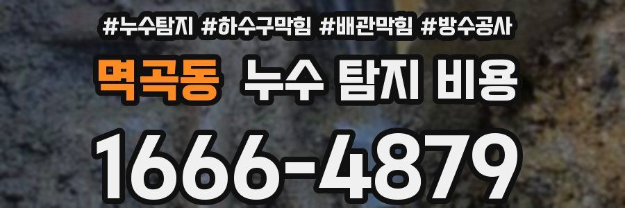 멱곡동 누수 탐지 비용