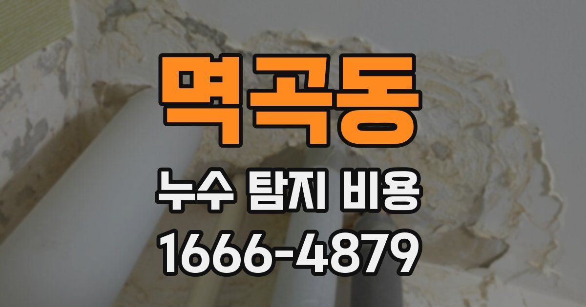 멱곡동 누수 탐지 비용