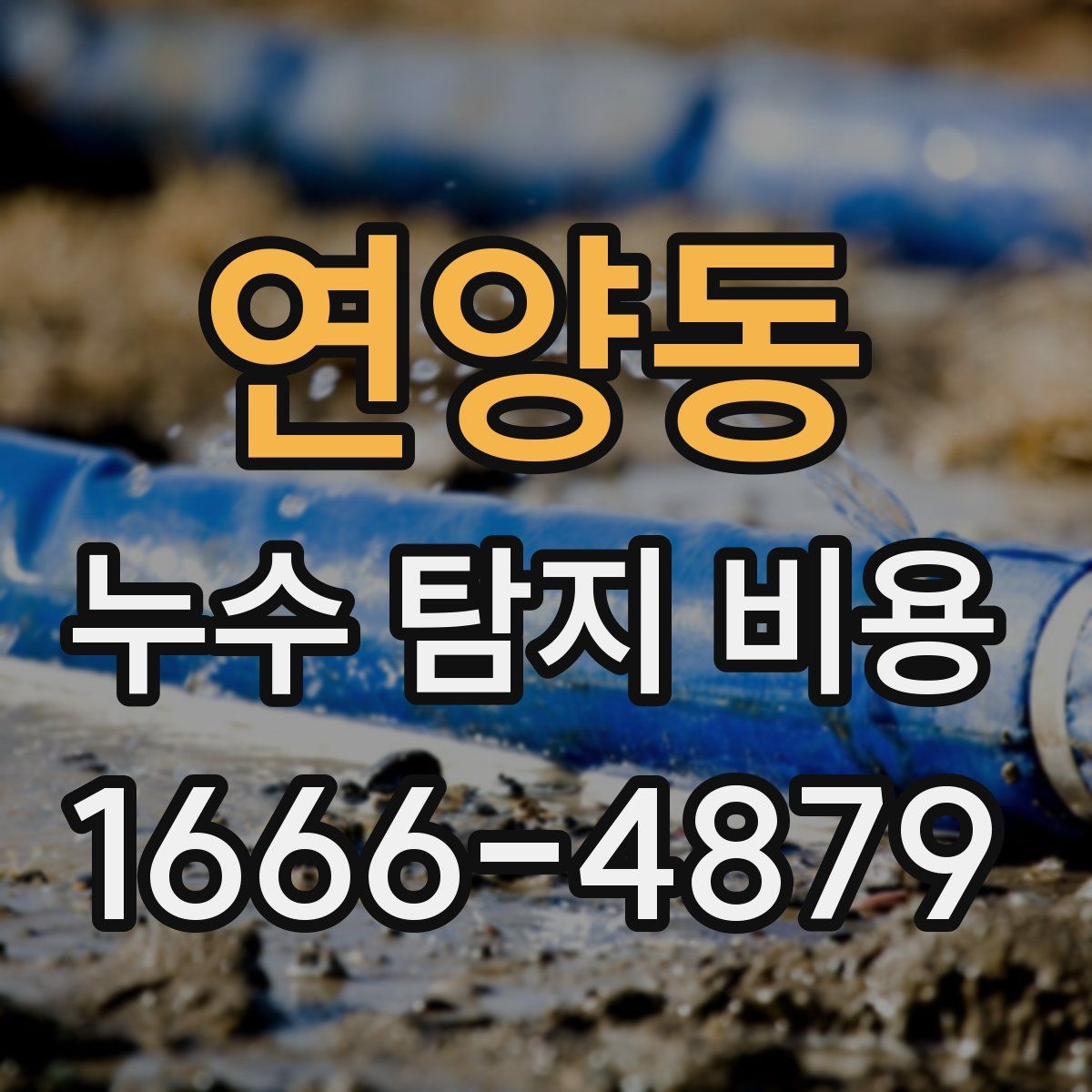연양동 누수 탐지 비용