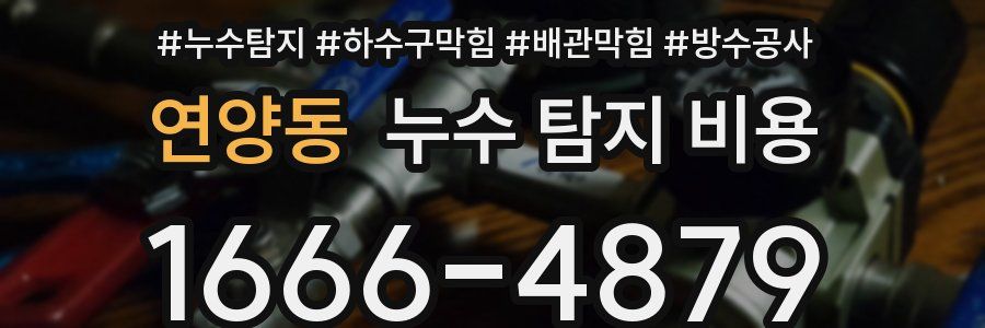 연양동 누수 탐지 비용