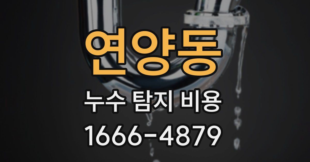연양동 누수 탐지 비용