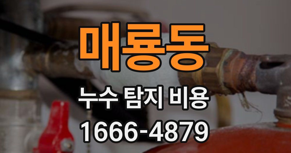 매룡동 누수 탐지 비용
