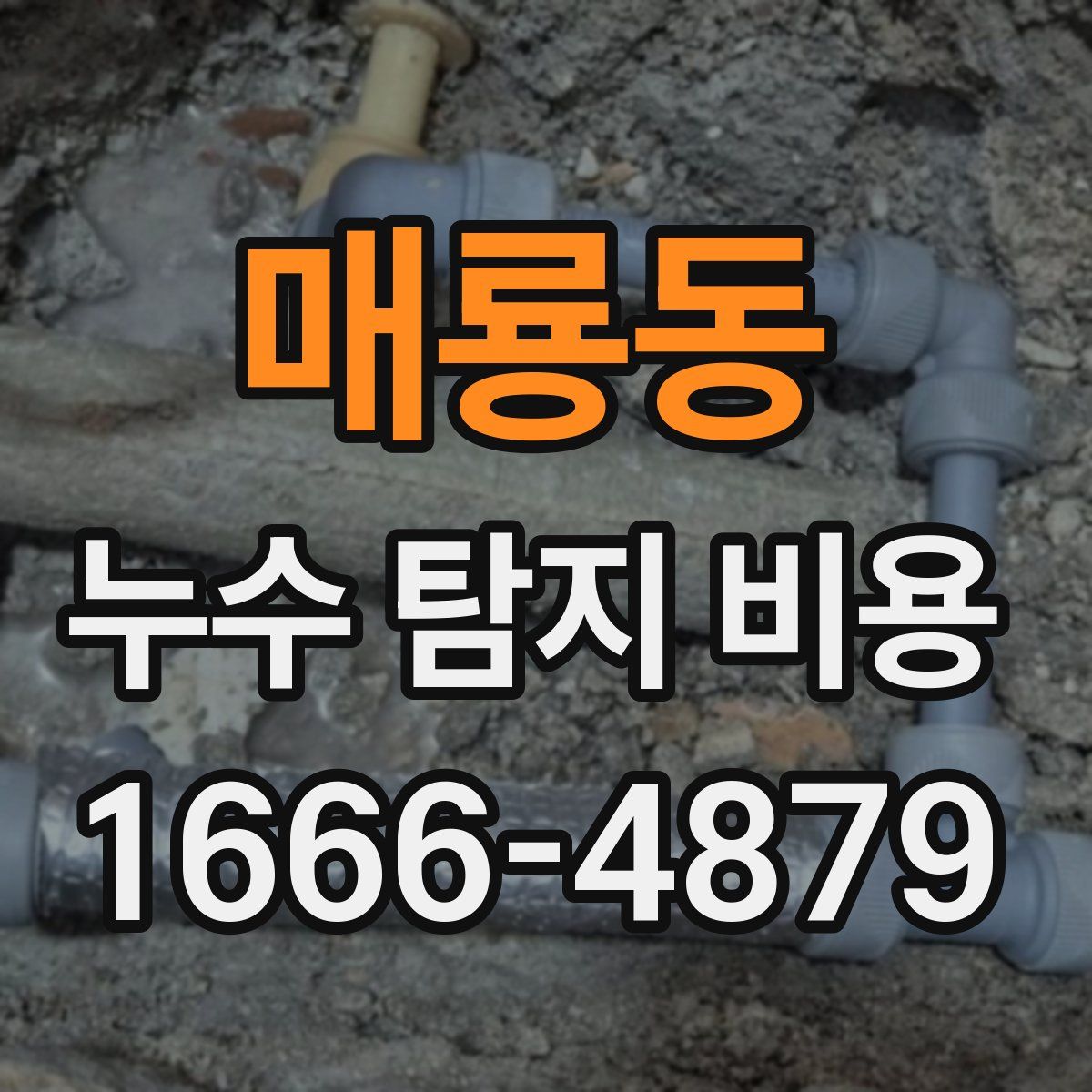 매룡동 누수 탐지 비용