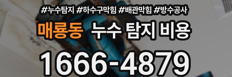 매룡동 누수 탐지 비용