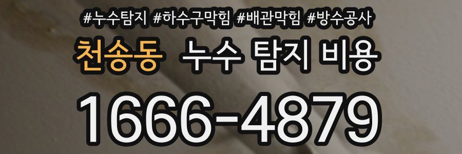 천송동 누수 탐지 비용
